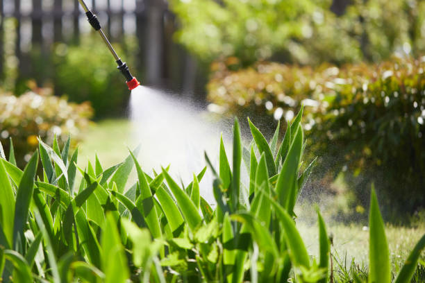 24/7 Emergency Fumigation Services experts in La Grange, IL