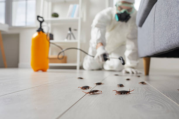 Trusted Termite Control service in La Grange, IL - Nex Pest Control
