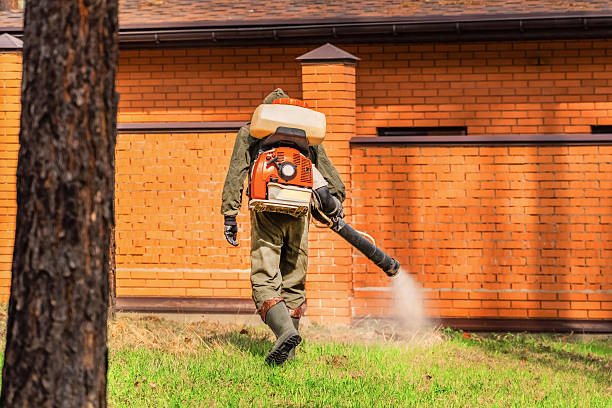 Trusted Rodent Control service in La Grange, IL - Nex Pest Control
